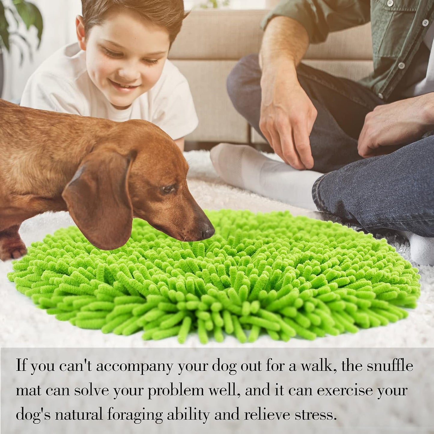Dog Snuffle Mat - Interactive Puzzle Toy for Dogs - Portable, Lightweight - Green