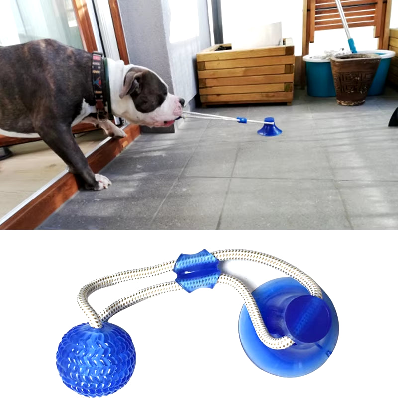 Dog Toys Pet Puppy Interactive Suction Cup Push TPR Ball Toys Molar Bite Toy Elastic Ropes Dog Tooth Cleaning Chewing Supplies