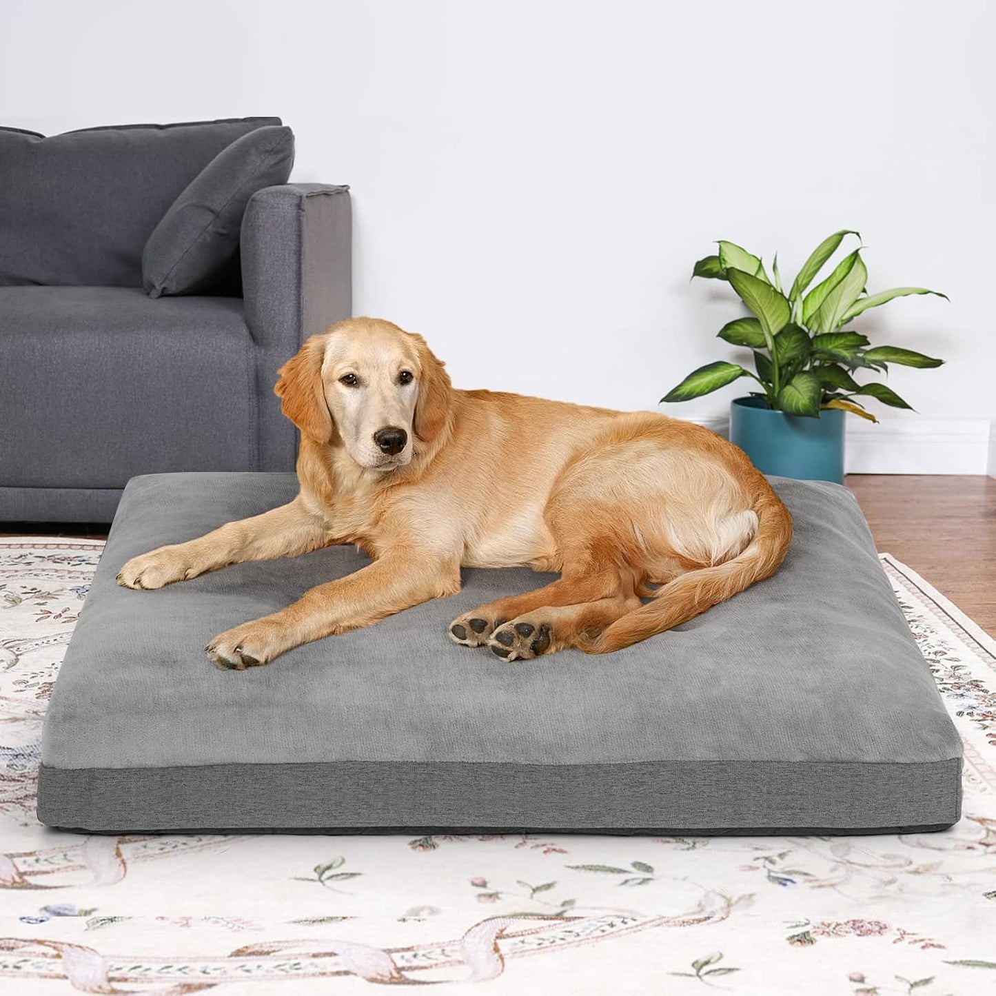 Orthopedic Foam Large Dog Bed, Extra Thicken Pet Bolster Mattress(5.5-6 Inches), Washable Dog Bed with Removable Cover, Super Soft & anti Slip Bottom for Medium, Large and Extra Large Dogs