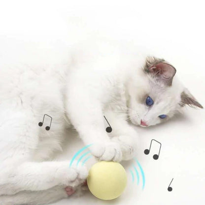 New Gravity Ball Smart Touch Sounding Toys Interactive Pet Toys Squeak Toys Ball Pet Training Toy for Indoor Cats