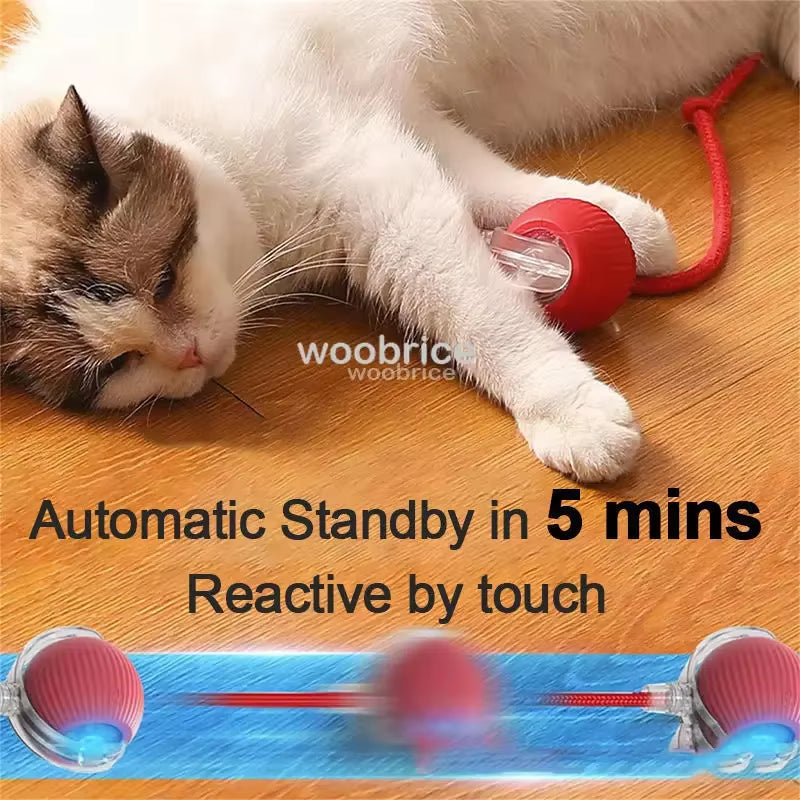 Interactive Cat Ball Toys Automatic Rolling Ball Faux Tail Rechargeable Pet Electric Toy Dog Cat Training Imitate Mouse Pet Toys